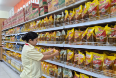 Harga Minyak Goreng Naik Mei 2026, Ini Daftar Harga Terbaru di Pasaran