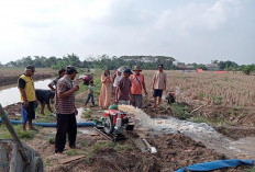 Daftar Wilayah Berstatus Kekeringan Meteorologis Awas pada September 2026