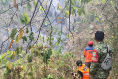 Kebakaran Hutan Gunung Nawa Cipanas Berhasil Dipadamkan, BPBD Tegaskan Bukan Imbas Gunung Ciremai
