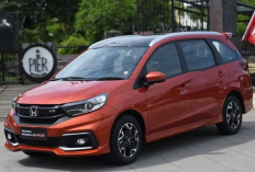 Bukan Cuma Avanza, Ini 7 Mobil Bekas dengan Suspensi Paling Nyaman, Kabin Lega dan Siap Diajak Touring