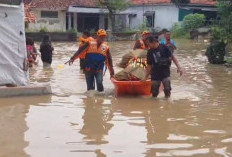 Foto-foto Banjir Cirebon Timur Hari Ini, Ketinggian Air Capai 1,5 Meter, 4 Kecamatan Terdampak