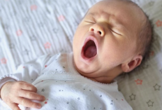 Nasib Bayi Baru Lahir di Indonesia, Harus Tanggung Utang Rp 28 Juta, Bagaimana Ceritanya?