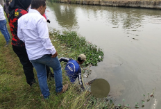 Pria Tenggelam di Sungai Sindupraja Indramayu, Ditemukan Mengambang Sejauh 1,5 Kilometer