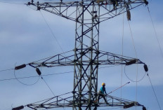 PLN UPT Cirebon Lakukan Peremajaan SUTT dan Gardu Induk demi Keandalan Listrik Pangandaran