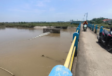 Warga Losari Cemas! Bendungan Karet Sobek, Sawah dan Air PDAM Terancam Asin