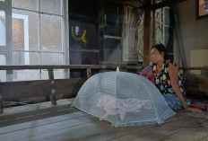 Ibu dan Bayi Asal Desa Beringin Cirebon Tinggal di Gazebo, Andalkan Program MBG Untuk Sambung Hidup