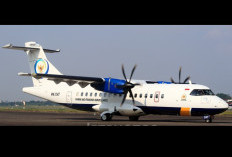 11 Orang di Pesawat ATR IAT yang Hilang di Maros, Ini Rinciannya