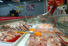 Inflasi Cirebon Turun, Tapi Harga Beras hingga Telur Masih Naik, Ini Penyebab Utamanya