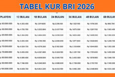 Lengkap! Tabel Angsuran KUR BRI 2026 Rp20 Juta, Cicilan Mulai Rp400 Ribuan