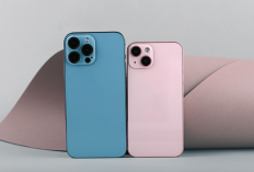 Update Harga iPhone di iBox Terbaru April 2026, iPhone 14 Turun Harga!