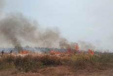 Kabupaten Cirebon Siaga Darurat Kekeringan dan Karhutla, Ini Imbauan Penting BPBD untuk Warga