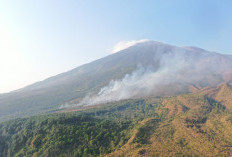 Karhutla Landa Gunung Ciremai, Hingga Hari Ini Belum Padam, Tim Gabungan Berjibaku