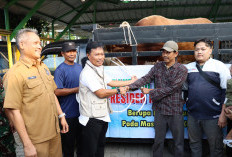 Jamin Keamanan Ibadah Kurban, Wali Kota Cirebon Tinjau Kelayakan Hewan di Lima Titik