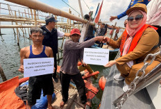 Tak Disangka! Budidaya Kerang Hijau di Kota Cirebon Tumbuh Pesat, Nelayan Siap Panen 