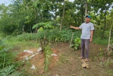Warga Desa Cigobang Tolak Perkebunan Sawit di Bukit dan Lereng, Khawatir Krisis Air dan Longsor