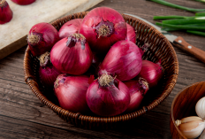 4 Khasiat Bawang Merah Pria Wajib Tahu, Rahasia Stamina dan Vitalitas