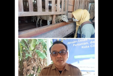 DKPPP Kota Cirebon Awasi Ketat Hewan Kurban dari Luar Daerah, Ini Tujuannya