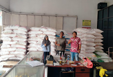 Musim Tanam 2026, Stok Pupuk Bersubsidi di Kabupaten Cirebon Dipastikan Aman