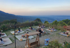 Rekomendasi Tempat Nongkrong Hits di Kuningan yang Bikin Betah Seharian