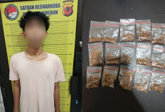 Polisi Ungkap Dugaan Peredaran Tembakau Sintetis di Palimanan Cirebon, 15 Paket Disita