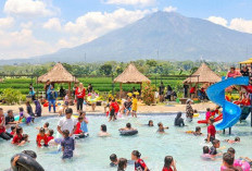 11 Ribu Wisatawan Padati Cirebon Saat Lebaran, Pariwisata Bangkit