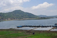 Waduk Darma Surut, BBWS Pastikan Irigasi Pertanian Tetap Normal