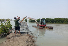 Dari Desa ke Istana? Kisah Perjuangan Ambulu Melawan Banjir Rob yang Tak Kunjung Reda