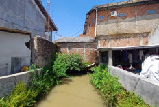 Diduga Tak Punya Septic Tank, Toilet Sekolah di Cirebon Ini Jadi Sorotan Publik
