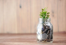 Gaji UMR Bukan Halangan untuk Investasi, Ini Tips Memulai Reksadana agar Keuangan Tetap Aman