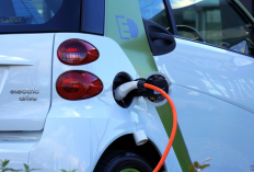 Simulasi Biaya Perpanjangan STNK Mobil Listrik 2026, Berapa yang Harus Dibayar?