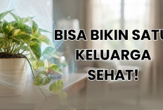 5 Tanaman Hias Untuk Kesehatan yang Bisa Kamu Rawat di Rumah, Bisa Cegah Penyakit Berbahaya!