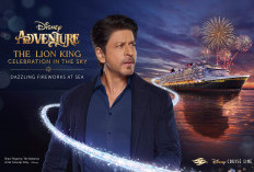 Disney Cruise Line Umumkan Pertunjukan Kembang Api Bertema The Lion King yang Menampilkan Shah Rukh Khan