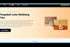 Ganti Background Foto Jadi Mudah, Ini Cara Edit Foto Profesional Pakai CapCut