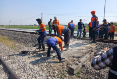 KAI Tutup Perlintasan Sebidang di Pabuaran Cirebon, Ini Alasannya