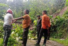 Tahun 2025, Bencana Tanah Longsor Paling Banyak Terjadi di Wilayah Kuningan