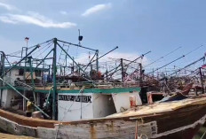 Ratusan Kapal Nelayan Menumpuk di Pelabuhan Kejawanan Cirebon, Krisis BBM Lumpuhkan Aktivitas Melaut