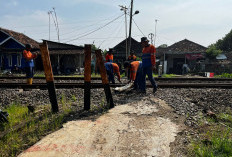 KAI Daop 3 Cirebon Tertibkan Perlintasan Sebidang Ilegal Demi Keselamatan Warga