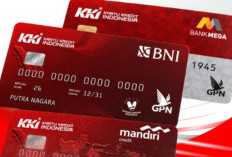 Kartu Kredit Indonesia Tembus Rp18,7 Miliar dalam Sebulan, BI Ungkap Tahap Pengembangannya hingga Kartu Fisik