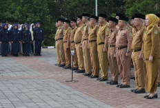 PPG Guru Tertentu Diperpanjang Lagi! Kesempatan Terakhir, Deadline Tinggal Hitungan Hari 