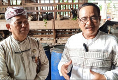 Program Balai Ternak BAZNAS Kota Cirebon, Solusi Nyata Angkat Ekonomi Warga