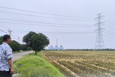 Kecamatan Sukra Indramayu Dipersiapkan Untuk Kawasan Industri