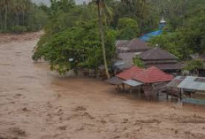 Banjir Sumatra Mengungkap Dampak Nyata Kapitalisme Ekstraktif