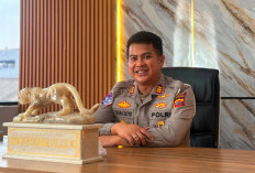489 Kecelakaan Terjadi hingga Juni 2026, 41 Orang Meninggal Dunia di Wilayah Polresta Cirebon