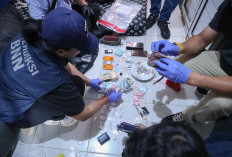 Pasca Geledah Kampung Ambon, Kepala BNN Suyudi Ario Seto - Shandy Aulia Diterpa Isu