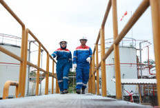 Kinerja Awal 2026 Terjaga, Pertamina Hulu Energi Catat Produksi 956 MBOEPD