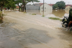 Cirebon Curah Hujan Tinggi, Banjir Rendam Desa Jungjang Wetan dan Kalianyar