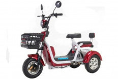 Motor Listrik Roda 3 Murah 7 Jutaan, Hemat Listrik dan Anti Ribet!