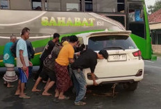 Detik-detik Kecelakaan di Jalan Raya Tambi Indramayu, Mobilio Tabrak Bus Sahabat