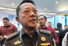 Update Kasus Febrie Adriansyah: Kronologi Lengkap, Status Tersangka hingga Pembelaan Hotman Paris
