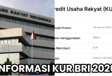 Semua Hal yang Harus Kamu Tahu Sebelum Melakukan Pinjaman Kredit Usaha Rakyat (KUR) BRI Ada Disini!